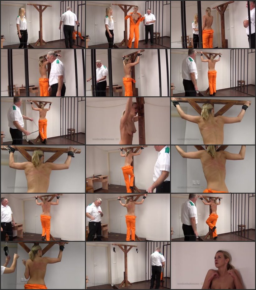 Screenlist 2015 - Week 49 - Bianca - spankingserver - HD/WMV