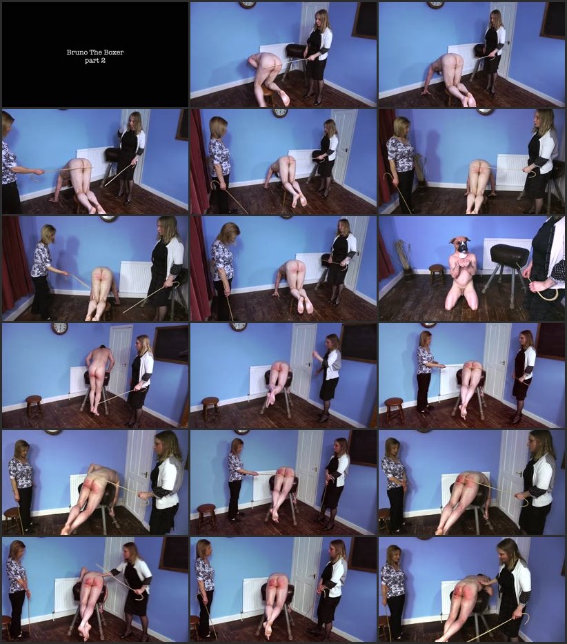 Screenlist - Bruno The Boxer 2 - ouchhh - Full HD/MP4