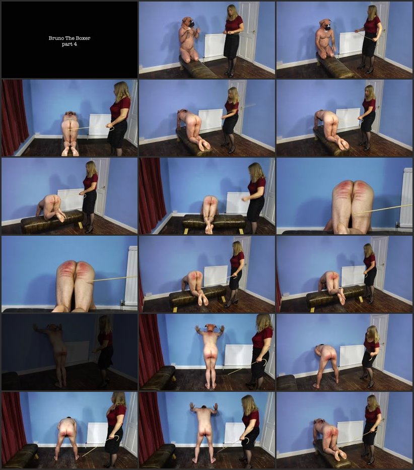 Screenlist - Bruno The Boxer 4 - ouchhh - Full HD/MP4