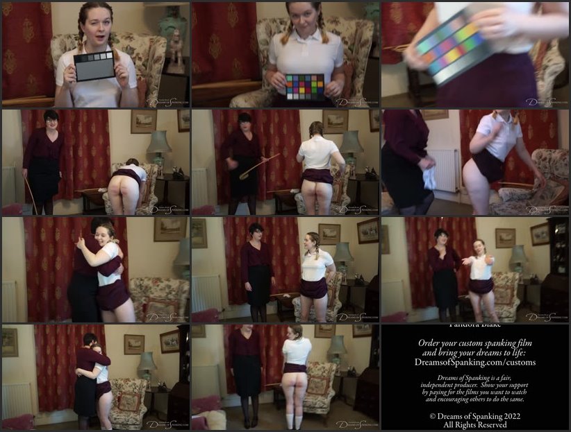 Screenlist Five-bar Gate - dreamsofspanking - Full HD/MP4