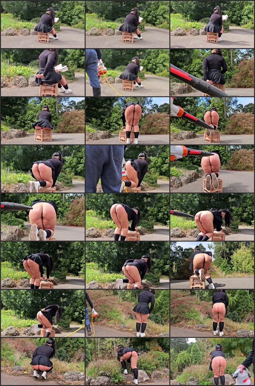 Screenlist 1 Girl, 1 Skirt, 1 Leaf Blower - Anonymous Spanking - Full HD/MP4